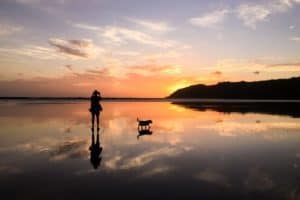 housesitting teachers travel free