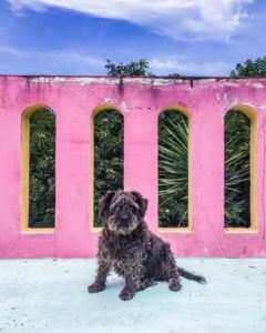 housesitting teachers travel for free