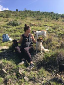 housesitting photo teachers free travel