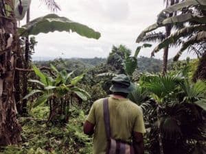 jungle tour ecuador budget travel